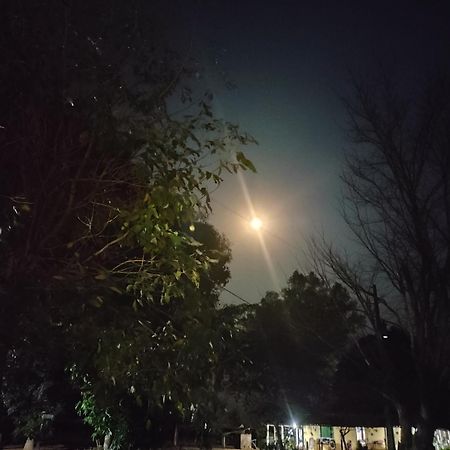 Pousada O Canto Da Seriema โนเบรส ภายนอก รูปภาพ